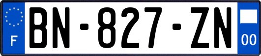 BN-827-ZN