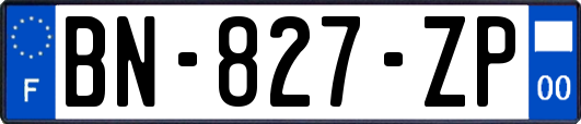 BN-827-ZP