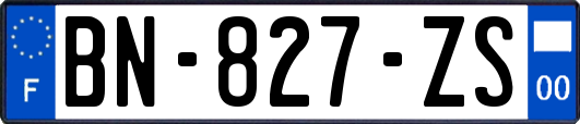 BN-827-ZS