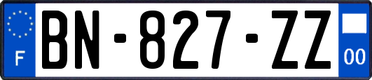 BN-827-ZZ