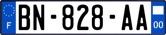 BN-828-AA