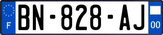 BN-828-AJ