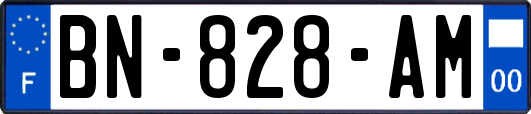 BN-828-AM