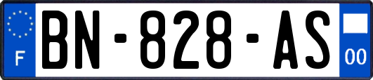 BN-828-AS