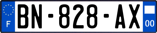 BN-828-AX