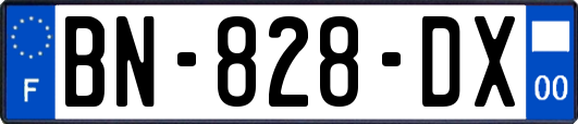 BN-828-DX