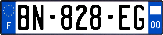 BN-828-EG