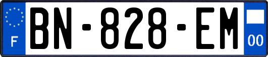 BN-828-EM