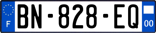 BN-828-EQ