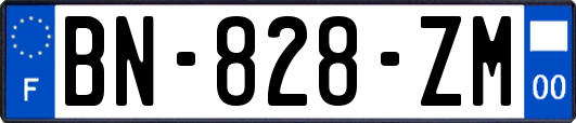 BN-828-ZM