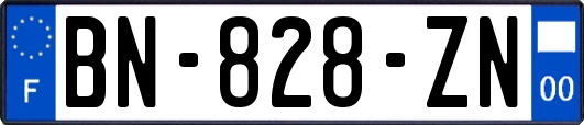 BN-828-ZN