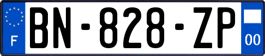 BN-828-ZP