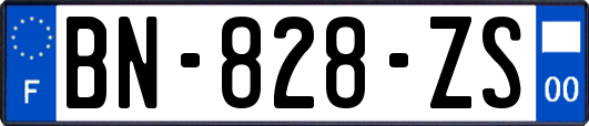 BN-828-ZS