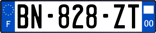 BN-828-ZT
