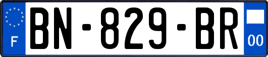 BN-829-BR