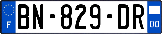 BN-829-DR