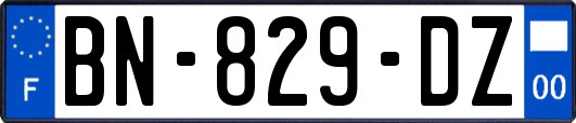 BN-829-DZ