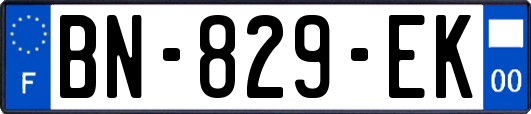 BN-829-EK
