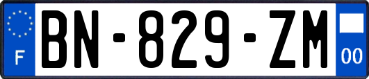 BN-829-ZM