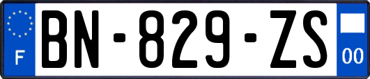 BN-829-ZS