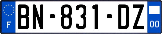 BN-831-DZ