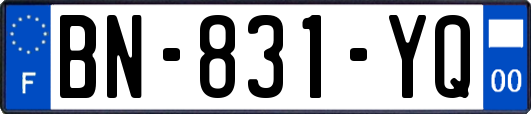 BN-831-YQ