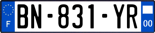 BN-831-YR