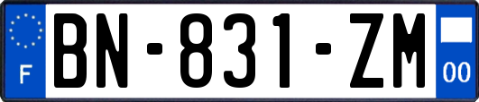 BN-831-ZM