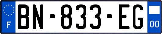 BN-833-EG