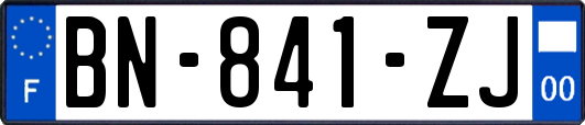 BN-841-ZJ