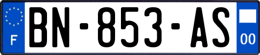 BN-853-AS