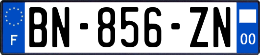 BN-856-ZN