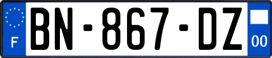BN-867-DZ