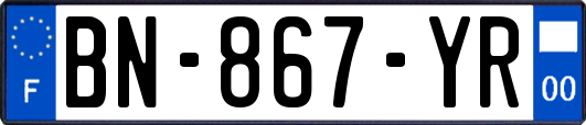 BN-867-YR