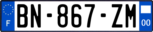 BN-867-ZM