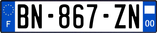 BN-867-ZN