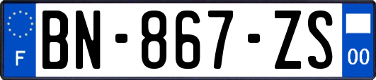 BN-867-ZS