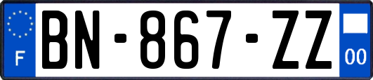 BN-867-ZZ
