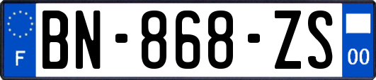 BN-868-ZS