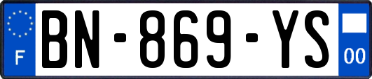 BN-869-YS
