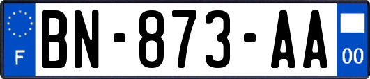 BN-873-AA