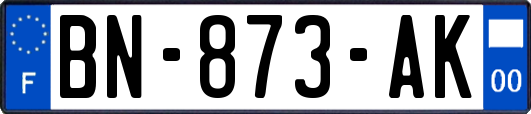 BN-873-AK