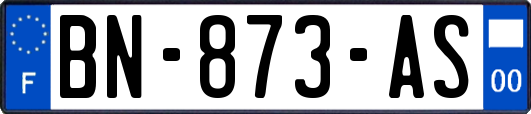 BN-873-AS