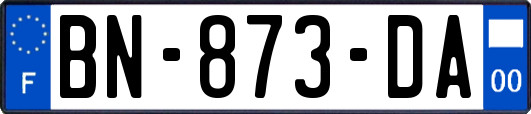 BN-873-DA