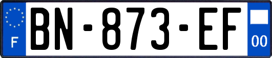 BN-873-EF