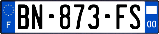 BN-873-FS
