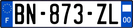 BN-873-ZL
