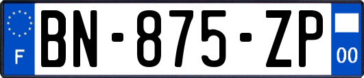 BN-875-ZP