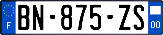 BN-875-ZS