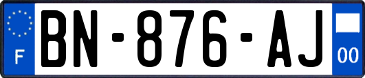 BN-876-AJ